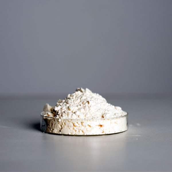 Phenol Formaldehyde Resin Powder