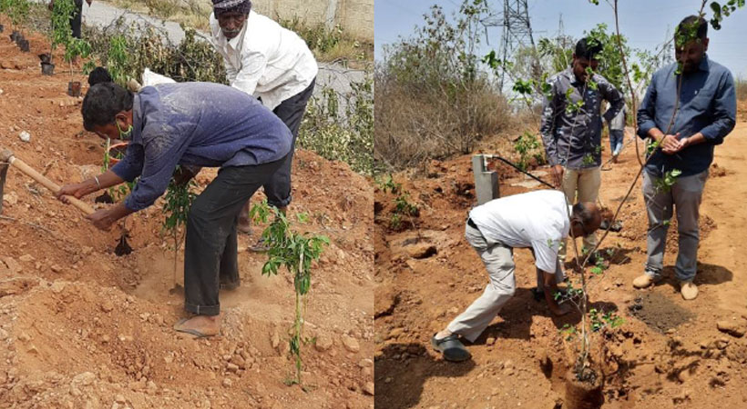 Playground development & Tree Plantation